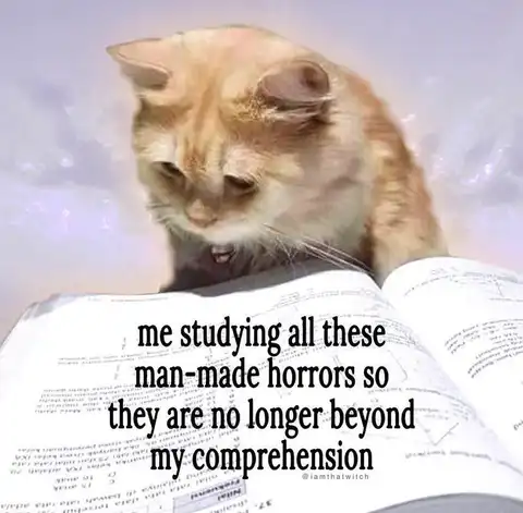 All time meme